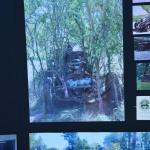 HB_Concours_0044 (June 07, 2015)